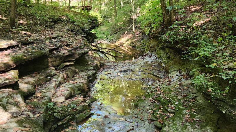 Charlestown State Park Trail 1 Trailhead - Charlestown, IN