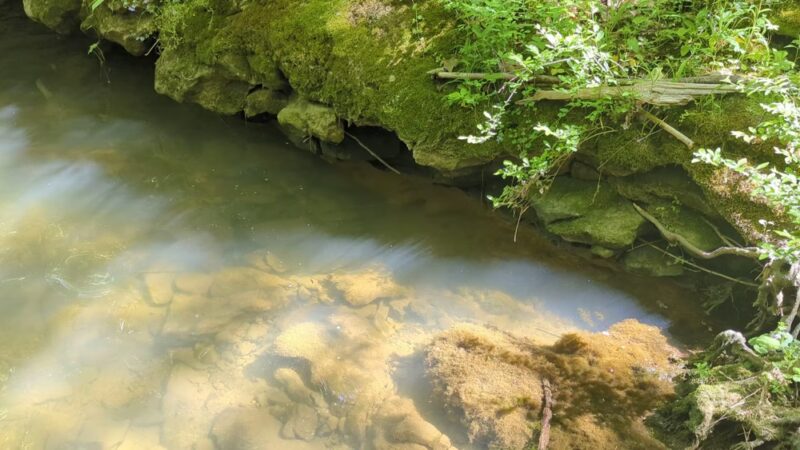 Charlestown State Park - Charlestown, IN