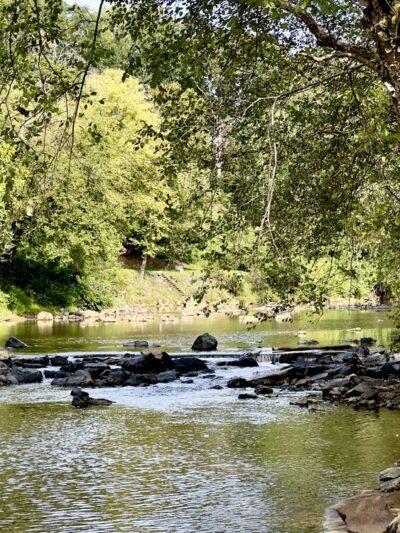 Darden Towe Park - Charlottesville, VA