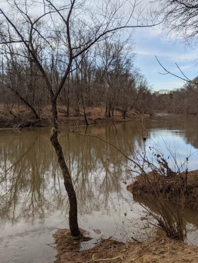 Darden Towe Park - Charlottesville, VA