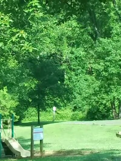 Jordan Park - Charlottesville, VA