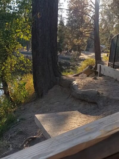 Bear Lake Regional Park - Chattaroy, WA