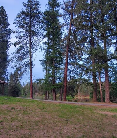 Playground - Chattaroy, WA