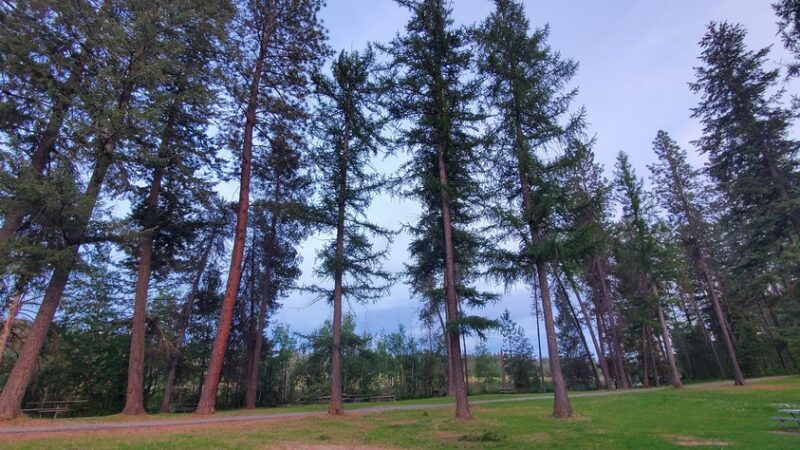 Playground - Chattaroy, WA