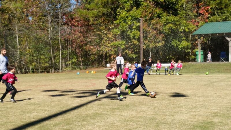 Chelsea Recreational Park - Chelsea, AL