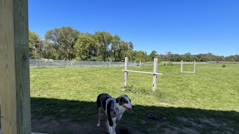 City of Chelsea Dog Park - Chelsea, MI