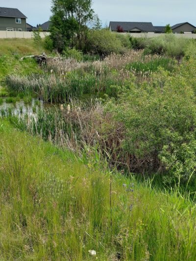 Betz Park - Cheney, WA