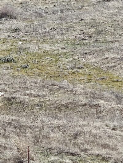 Columbia Plateau State Park Trail - Amber Lake Trailhead - Cheney, WA