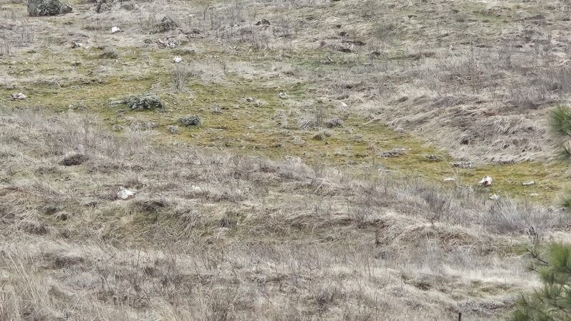 Columbia Plateau State Park Trail - Amber Lake Trailhead - Cheney, WA