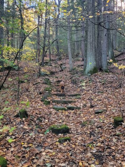 Boulder Park - Chester, MA