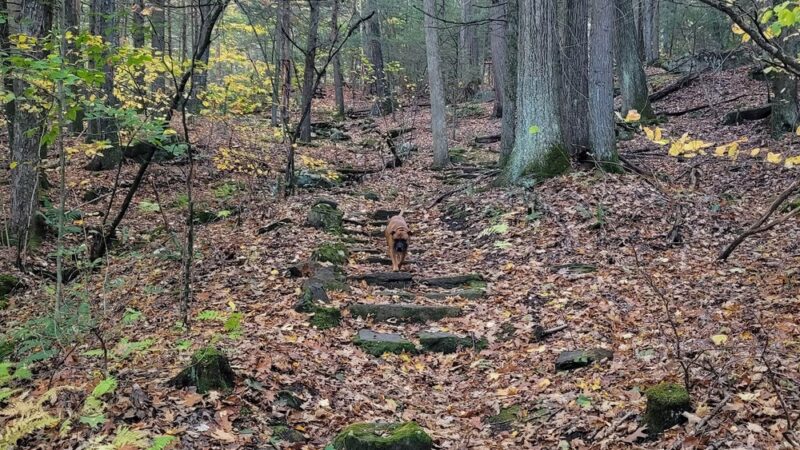 Boulder Park - Chester, MA
