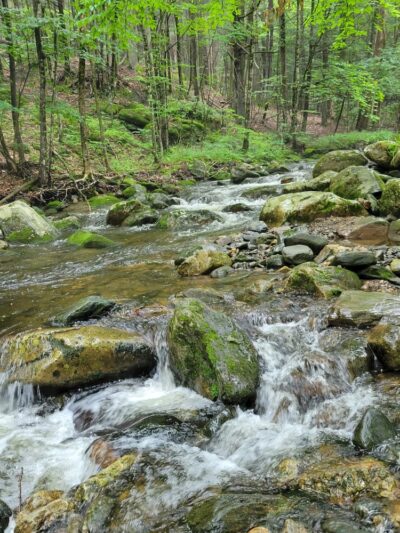 Sanderson Brook Waterfall - Chester, MA