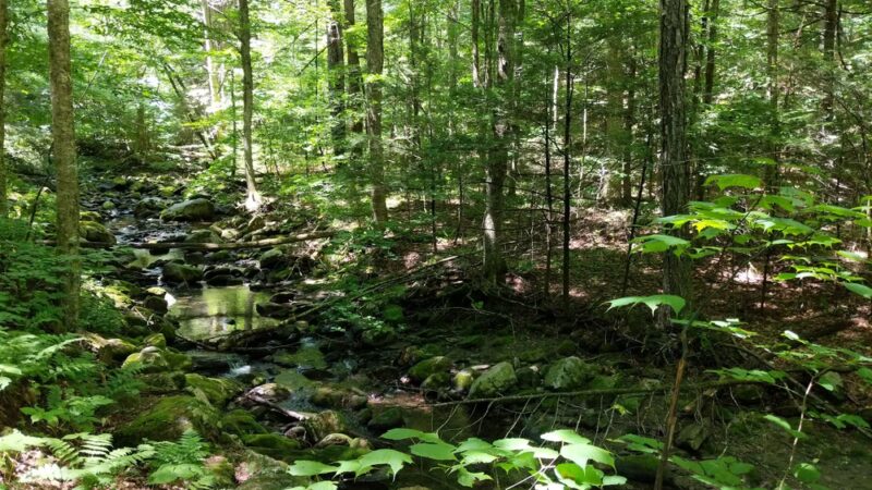 Sanderson Brook Waterfall - Chester, MA