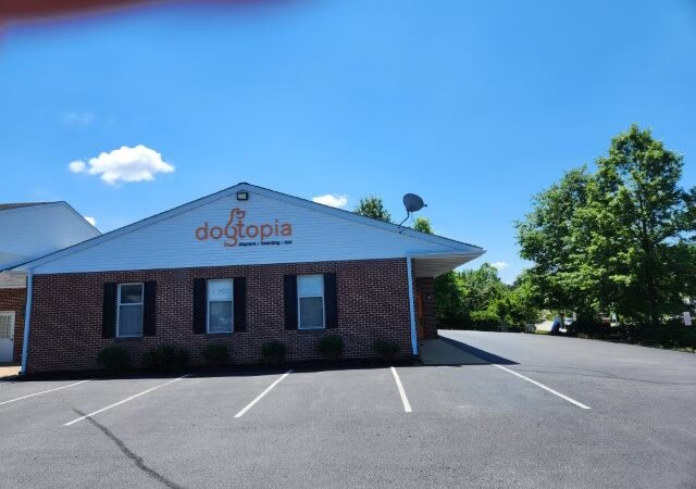 Dogtopia of Chester Springs - Chester Springs, PA