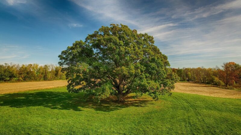 Natural Lands' Bryn Coed Preserve - Chester Springs, PA