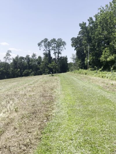 Natural Lands' Bryn Coed Preserve - Chester Springs, PA