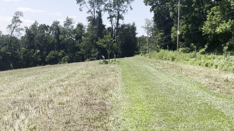 Natural Lands' Bryn Coed Preserve - Chester Springs, PA