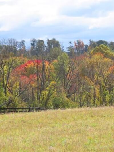 Natural Lands' Bryn Coed Preserve - Chester Springs, PA