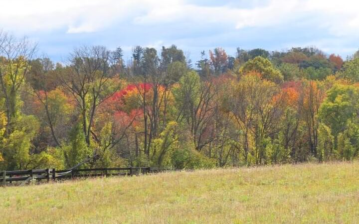 Natural Lands' Bryn Coed Preserve - Chester Springs, PA