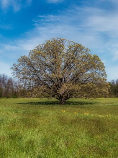 Natural Lands' Bryn Coed Preserve - Chester Springs, PA