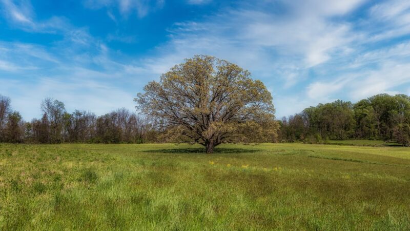 Natural Lands' Bryn Coed Preserve - Chester Springs, PA
