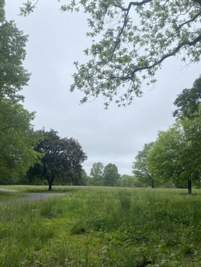 Opalanie Park - Chester Springs, PA