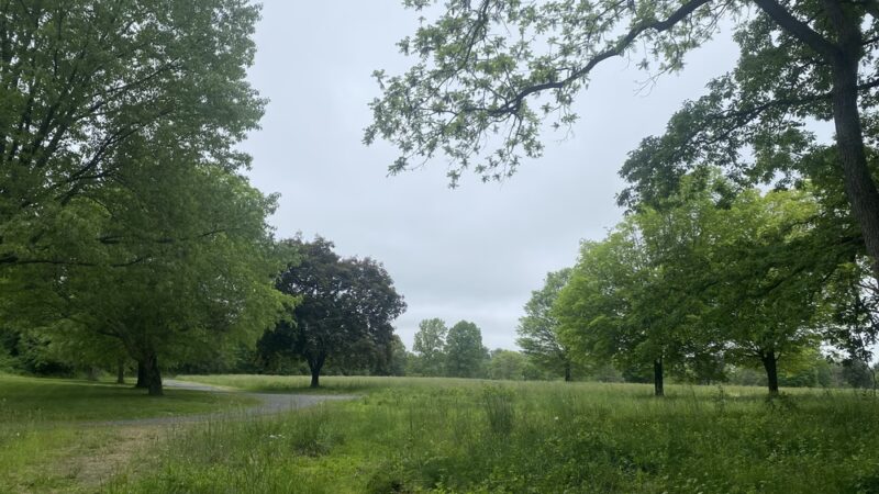 Opalanie Park - Chester Springs, PA