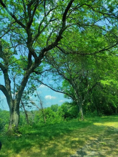 Opalanie Park - Chester Springs, PA