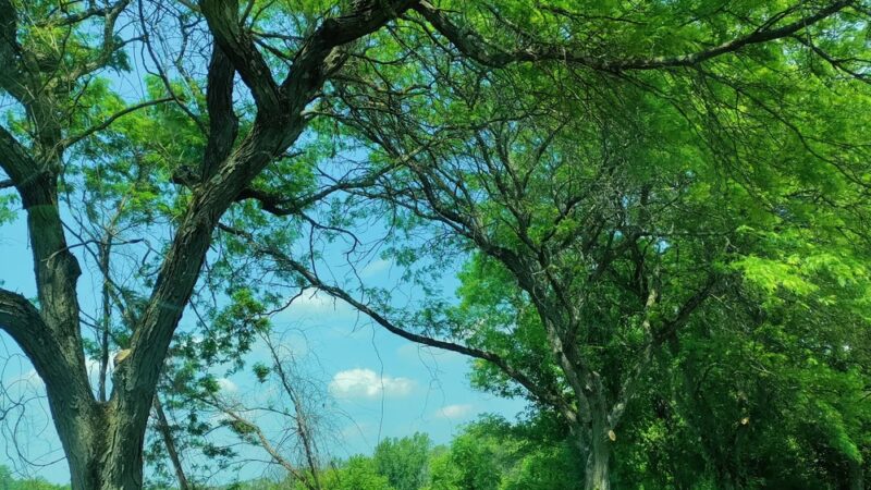 Opalanie Park - Chester Springs, PA