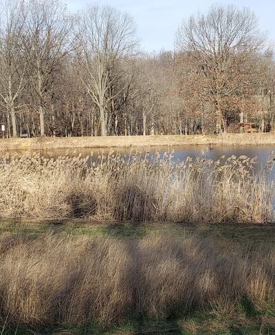 Opalanie Park - Chester Springs, PA