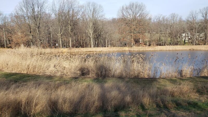 Opalanie Park - Chester Springs, PA