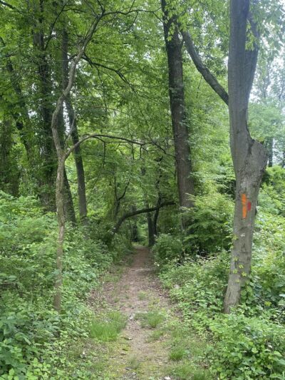 Opalanie Park - Chester Springs, PA