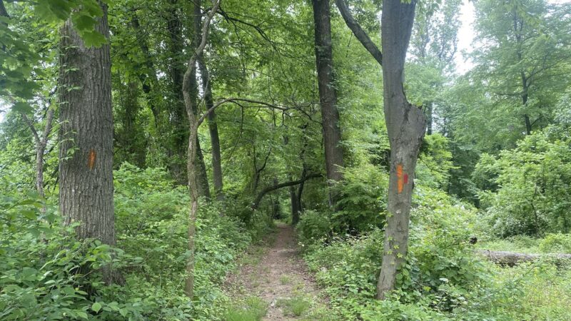 Opalanie Park - Chester Springs, PA