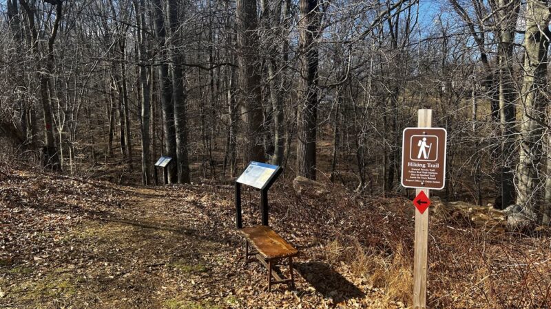 Walnut Lane Park - Chester Springs, PA