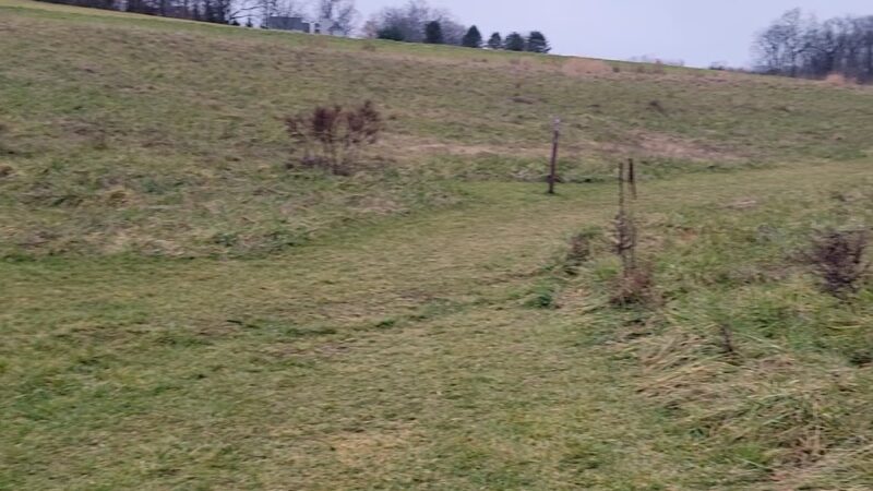 Walnut Lane Park - Chester Springs, PA