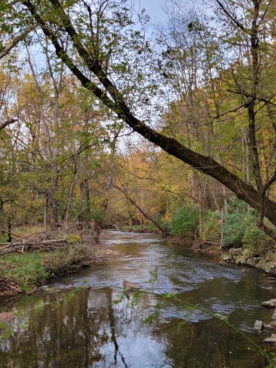 Chesterbrook trail - Chesterbrook, PA