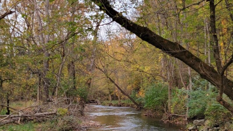Chesterbrook trail - Chesterbrook, PA