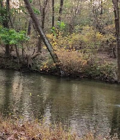 Chesterbrook trail - Chesterbrook, PA