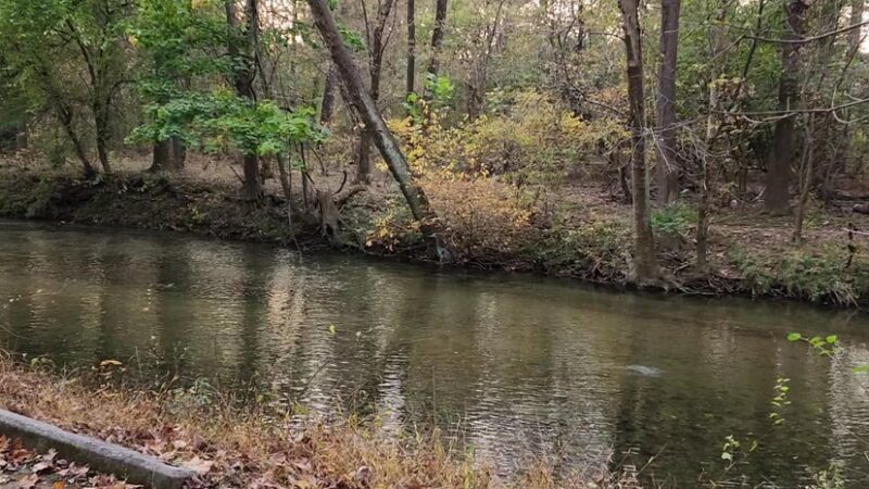 Chesterbrook trail - Chesterbrook, PA