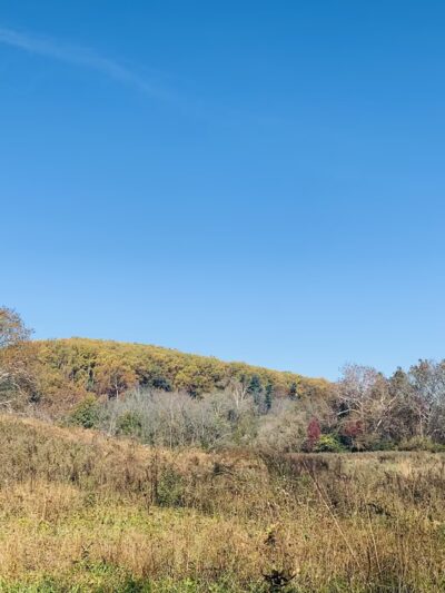 Chesterbrook trail - Chesterbrook, PA