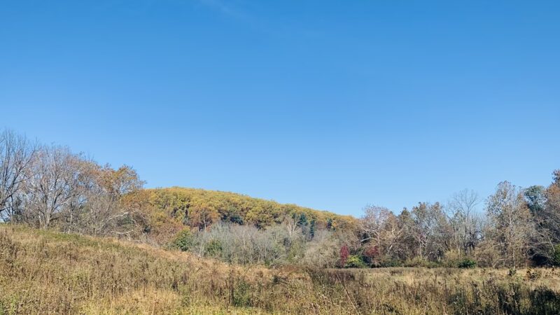 Chesterbrook trail - Chesterbrook, PA
