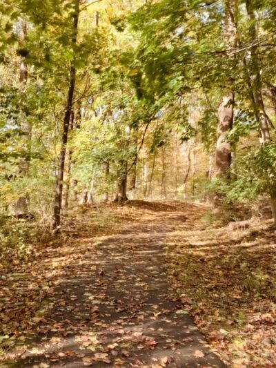 Chesterbrook trail - Chesterbrook, PA