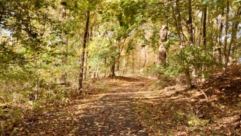 Chesterbrook trail - Chesterbrook, PA
