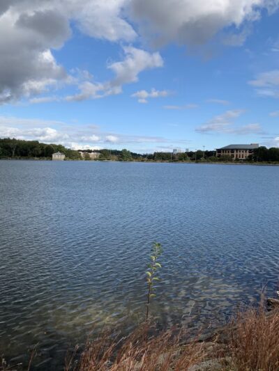 Chestnut Hill Reservoir - Chestnut Hill, MA
