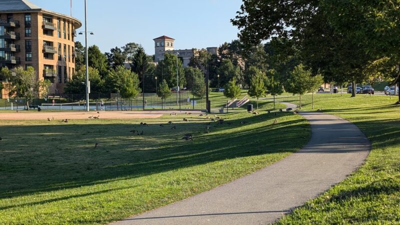 Cassidy Playground - Chestnut Hill, MA