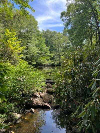 Houghton Garden - Chestnut Hill, MA