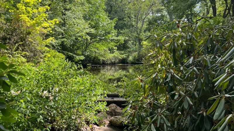 Houghton Garden - Chestnut Hill, MA