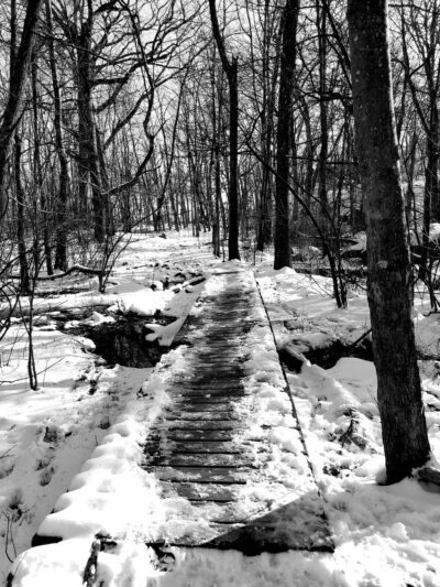 Houghton Garden - Chestnut Hill, MA