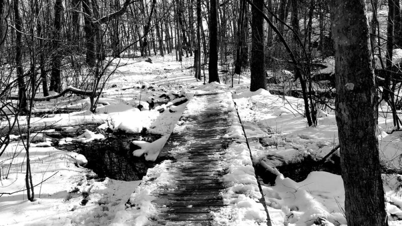 Houghton Garden - Chestnut Hill, MA