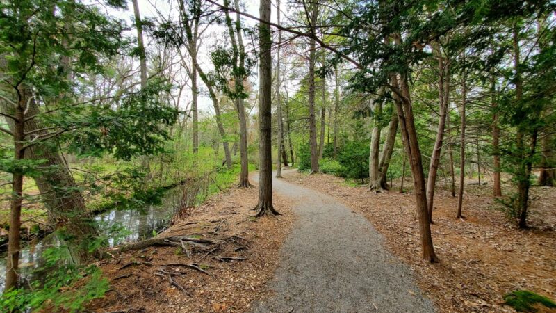 Houghton Garden - Chestnut Hill, MA